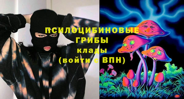 трава Каменногорск