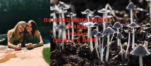 герыч Каменка