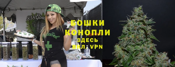 трава Каменногорск