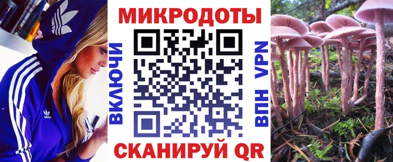 Купить где  Гусев  Псилоцибиновые грибы мухоморы 